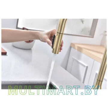 Смеситель Paulmark Universal Un213880-SBG (светлое брашированное золото) картинка 10